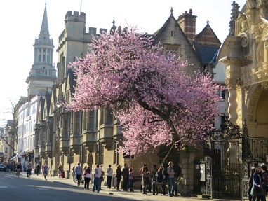 Oxford (60K)